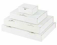Maxibriefkarton und Warensendung Versandkarton, 305x220x46mm fr Din A4, wei