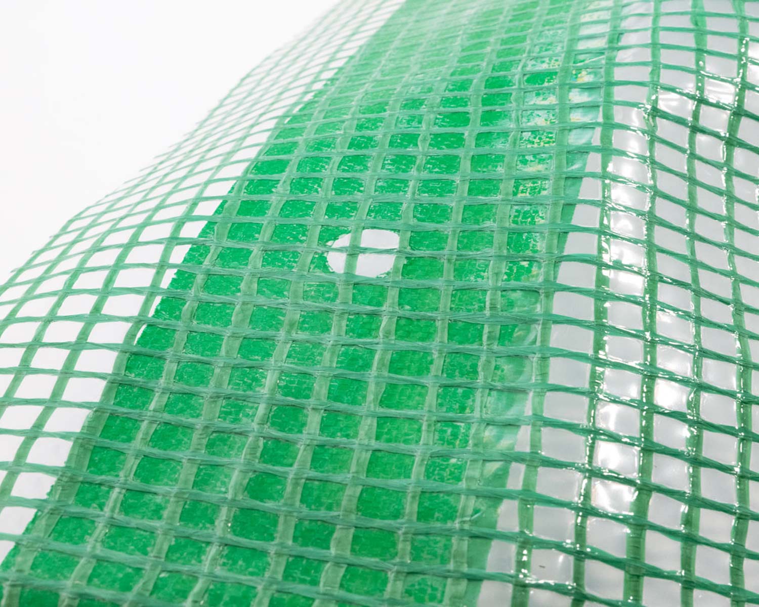Gitterplane Gitterfolie 2 x 4 m transparent grünes Gitter Nagelrand verstärkt