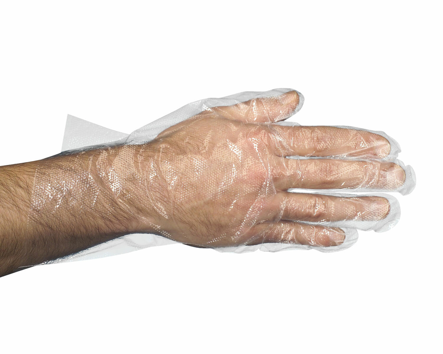 Einweghandschuhe aus PE transparent gehmmert in Spenderkarton Gre L, 500 Stk.
